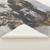 Englisch Setter, Holzhacken Sherpadecke (3/4)