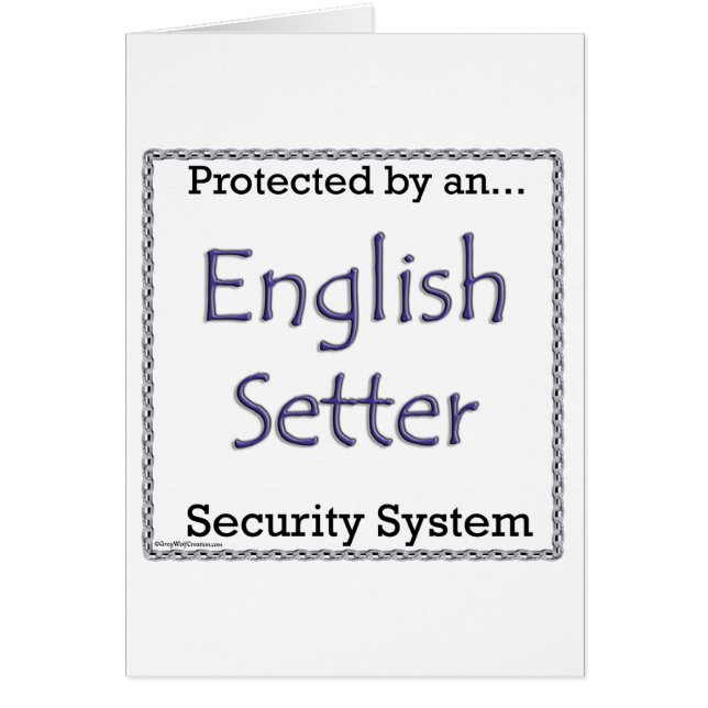 Englisch Setter Security System (Vorne)