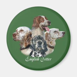 Englisch SetterKann nicht nur ein Magnet haben