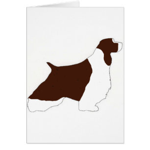 englisch springer spaniel