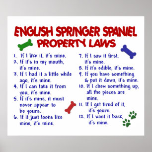 ENGLISCH SPRINGER SPANIEL PL2 POSTER
