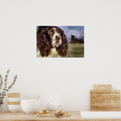 Englisch Springer Spanisch Art Prints Geschenke Poster (Küche)