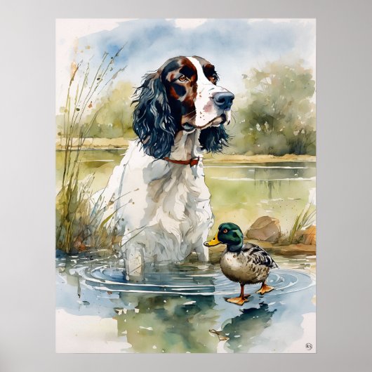 Englisch Springer Spanisch - Dog Art Print Poster (Vorne)