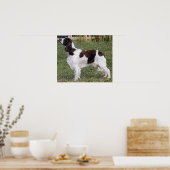 Englisch Springer Spanisch Dog Portrait Poster Pri (Küche)