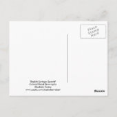 Englisch Springer Spanisch Dog Postcard Postkarte (Rückseite)