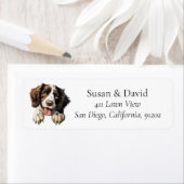 Englisch Springer Spanisch Hund Rasse Pet Lovers (Insitu)