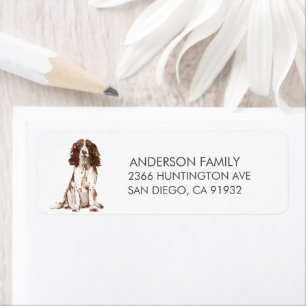 Englisch Springer Spanisch Hund Rücksendeadresse L