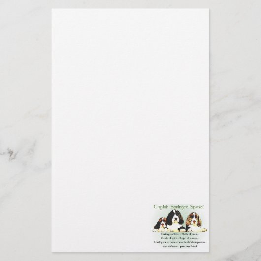 Englisch Springer Spanisch Kulturerbe der Liebe Briefpapier (Vorderseite)