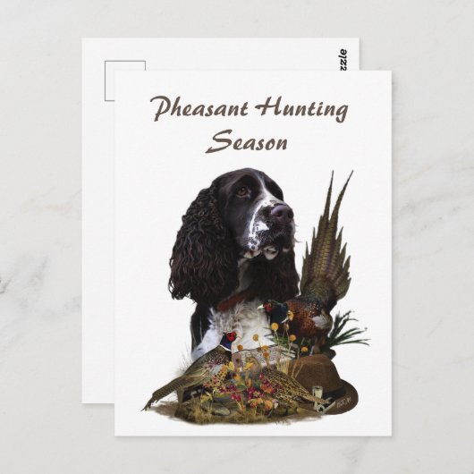 Englisch Springer Spanisch mit Fasan Postkarte (Vorne/Hinten)