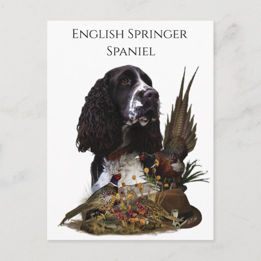 Englisch Springer Spanisch mit Fasan Postkarte (Vorderseite)