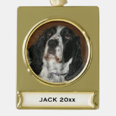 Englisch Springer Spanisch Pet Foto Banner-Ornament Gold (Vorderseite)