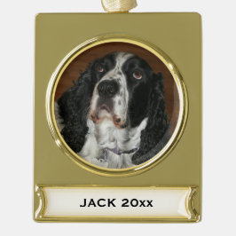 Englisch Springer Spanisch Pet Foto Banner-Ornament Gold