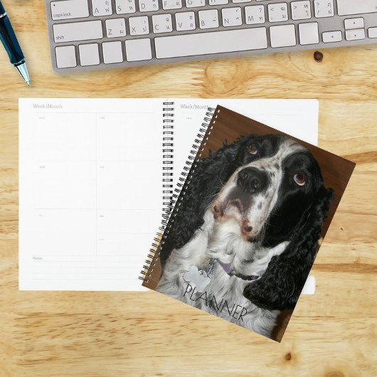 Englisch Springer Spanisch Pet Foto Planer