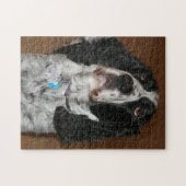 Englisch Springer Spanisch Pet Foto Puzzle (Horizontal)