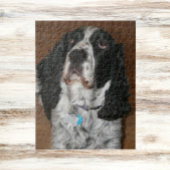 Englisch Springer Spanisch Pet Foto Puzzle