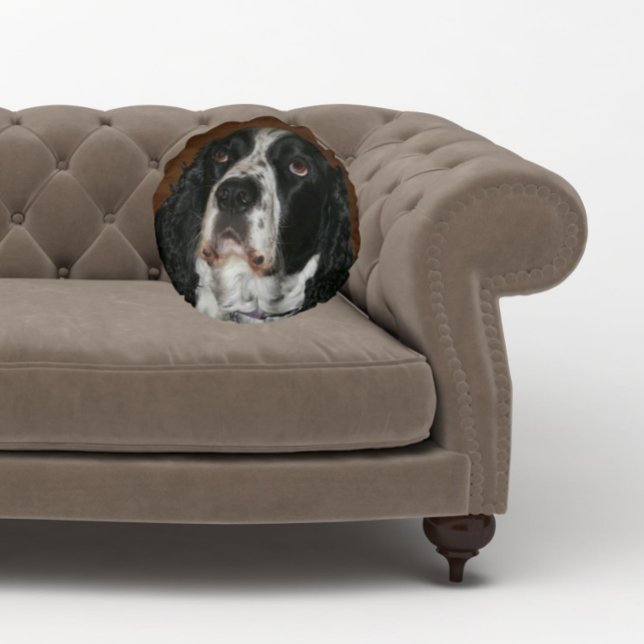 Englisch Springer Spanisch Pet Foto Rundes Kissen (In Situ Sofa)