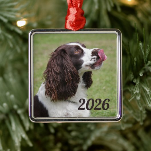 Englisch Springer Spanisch Sitzen, Licken Lippen Ornament Aus Metall (Baum)