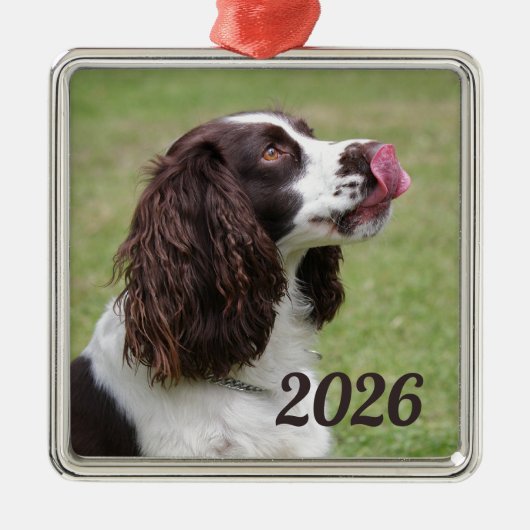 Englisch Springer Spanisch Sitzen, Licken Lippen Ornament Aus Metall (Vorne)