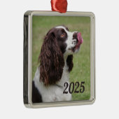 Englisch Springer Spanisch Sitzen, Licken Lippen Ornament Aus Metall (Rechts)