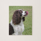 Englisch Springer Spanisch Sitzen Puzzle (Vertikal)