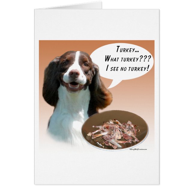 Englisch Springer Spanisch Türkei (Vorne)