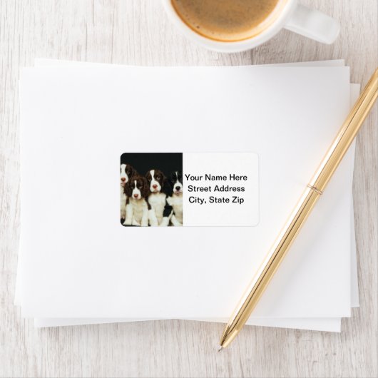 Englisch Springer Spanische Welpen (2) Adressaufkleber (Insitu)