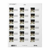 Englisch Springer Spanische Welpen (2) Adressaufkleber (Vorne)