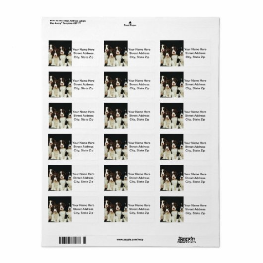 Englisch Springer Spanische Welpen (2) Adressaufkleber (Vorne)