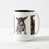 Englisch-Stier-Terrier-Tasse Zweifarbige Tasse (VorderseiteRechts)
