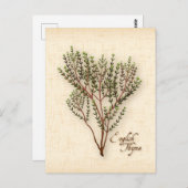 Englisch Thyme Herb Postcard anpassen Postkarte (Vorne/Hinten)