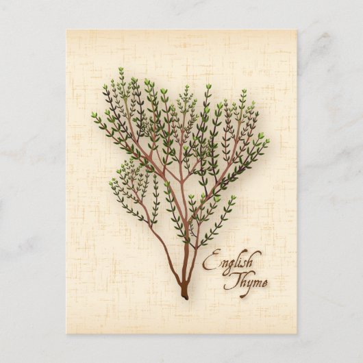 Englisch Thyme Herb Postcard anpassen Postkarte (Vorderseite)