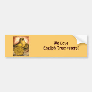 Englisch Trumpeter Pigeon Yellow Self Autoaufkleber