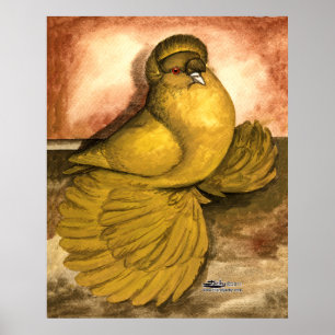 Englisch Trumpeter Pigeon Yellow Self Poster