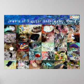 Englisch version: Juwelen of Under Water Siquijor Poster
