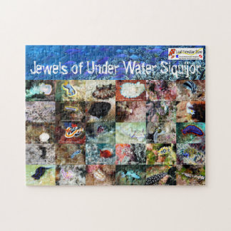 Englisch version: Juwelen of Under Water Siquijor Puzzle
