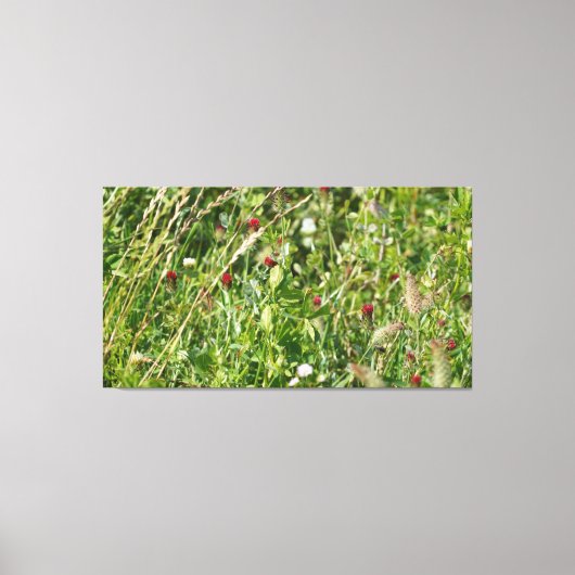 Englisch Wildblume Meadow Leinwanddruck (Vorderseite)