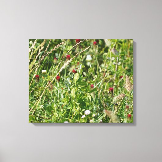 Englisch Wildblume Meadow Leinwanddruck (Vorderseite)