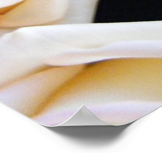 Englische Box Poster (Ecke)