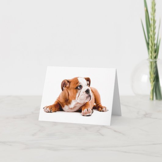 Englische Bulldog Welpe Blank Note Card Karte (Vorderseite)