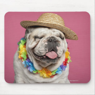 Englische Bulldogge (18 Monate alte) ein Stroh Mousepad