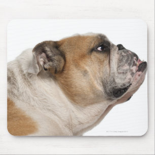 Englische Bulldogge (6 Jahre alt) Mousepad