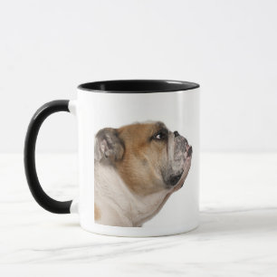 Englische Bulldogge (6 Jahre alt) Tasse
