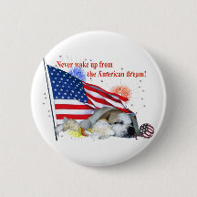 Englische Bulldogge - amerikanischer Traum