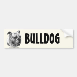 Englische Bulldogge Autoaufkleber