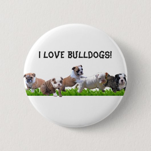Englische Bulldogge Button (Vorderseite)
