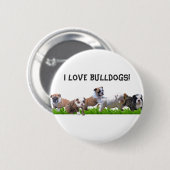 Englische Bulldogge Button (Vorne & Hinten)