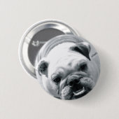 Englische Bulldogge Button (Vorne & Hinten)