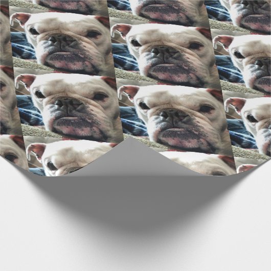Englische Bulldogge Geschenkpapier (Ecke)