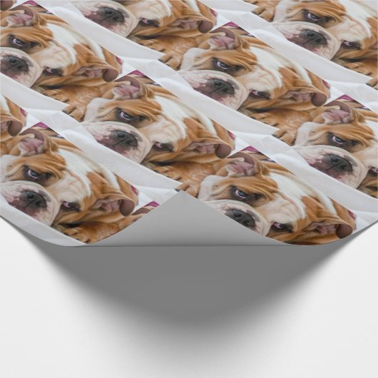 Englische Bulldogge Geschenkpapier (Ecke)