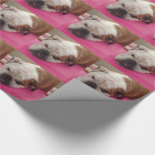 Englische Bulldogge Geschenkpapier (Ecke)